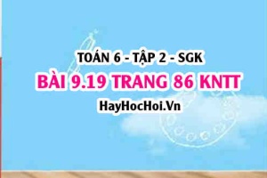 Bài 9.19 trang 86 Toán 6 Tập 2 Kết nối tri thức